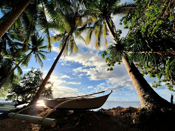 Quelle est la meilleure façon d'organiser un voyage sur mesure ?