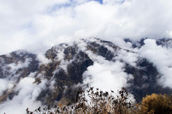 Anges Gardiens Monaco